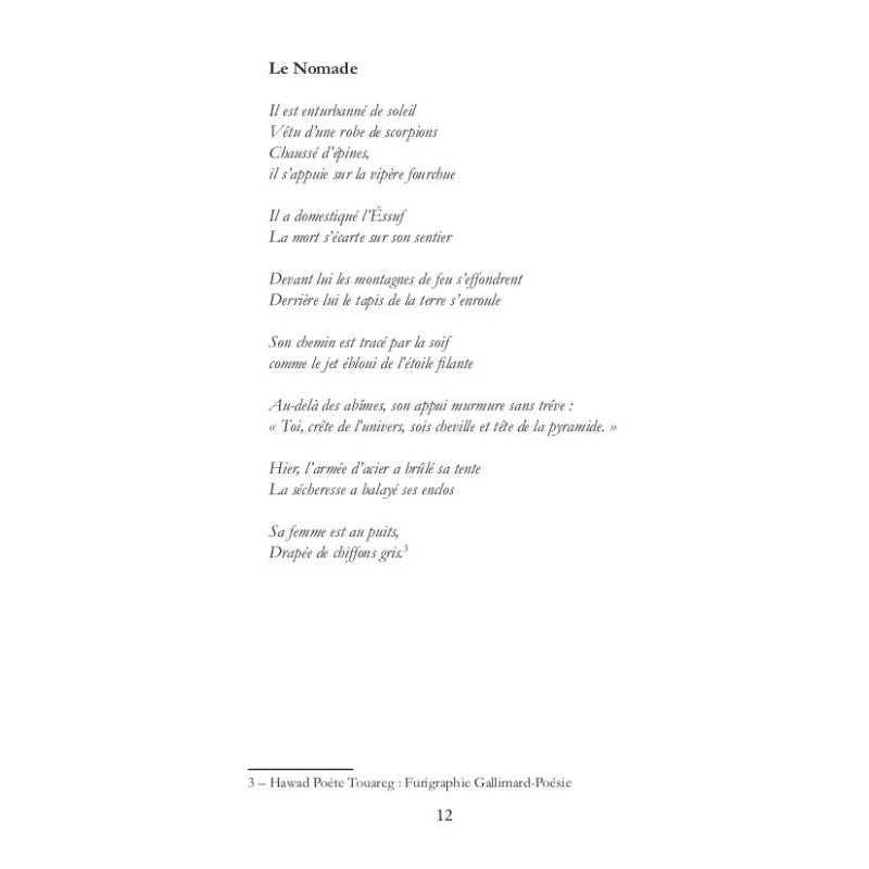 Un ami - Contes et paroles nomades en pays Touareg
