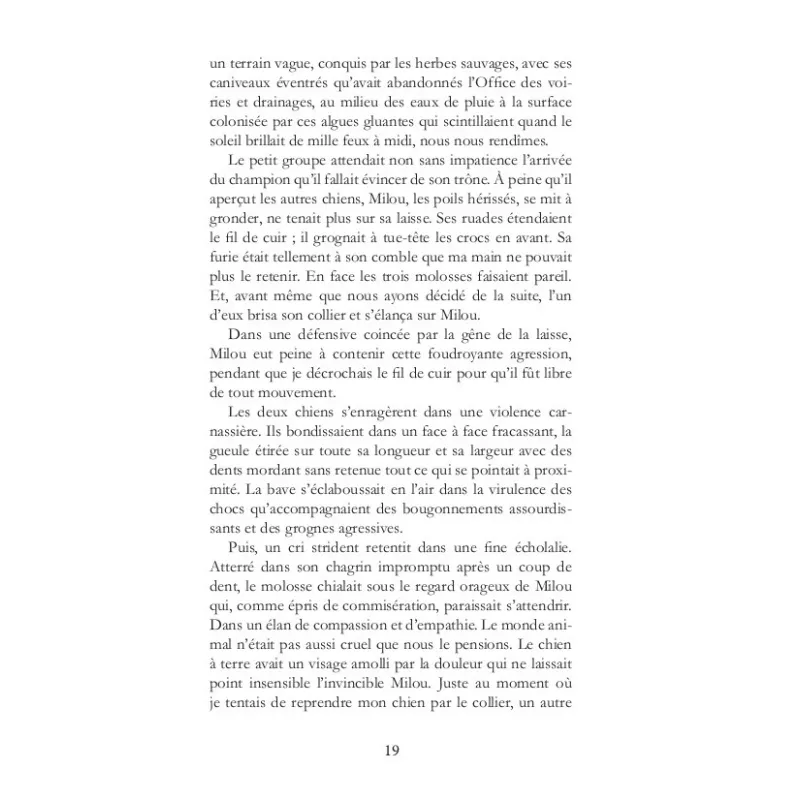 Ailleurs