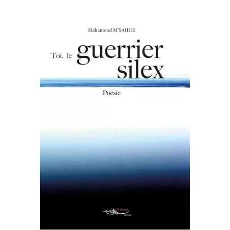 Toi, le guerrier silex