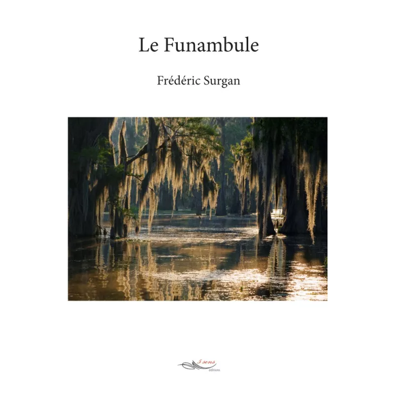 Le funambule