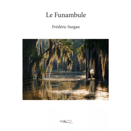 Le funambule