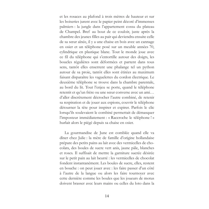 Une vie et ses éclats
