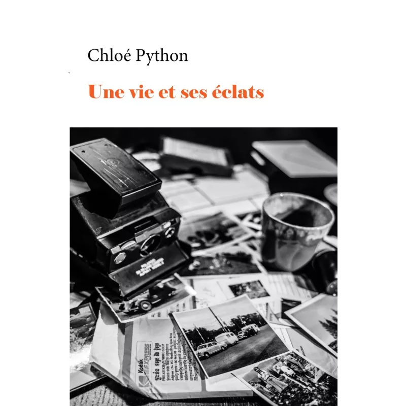Une vie et ses éclats