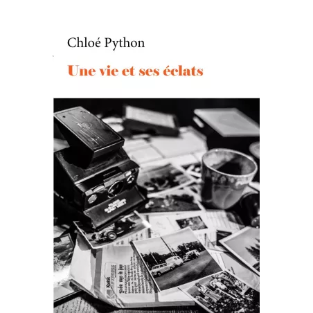 Une vie et ses éclats