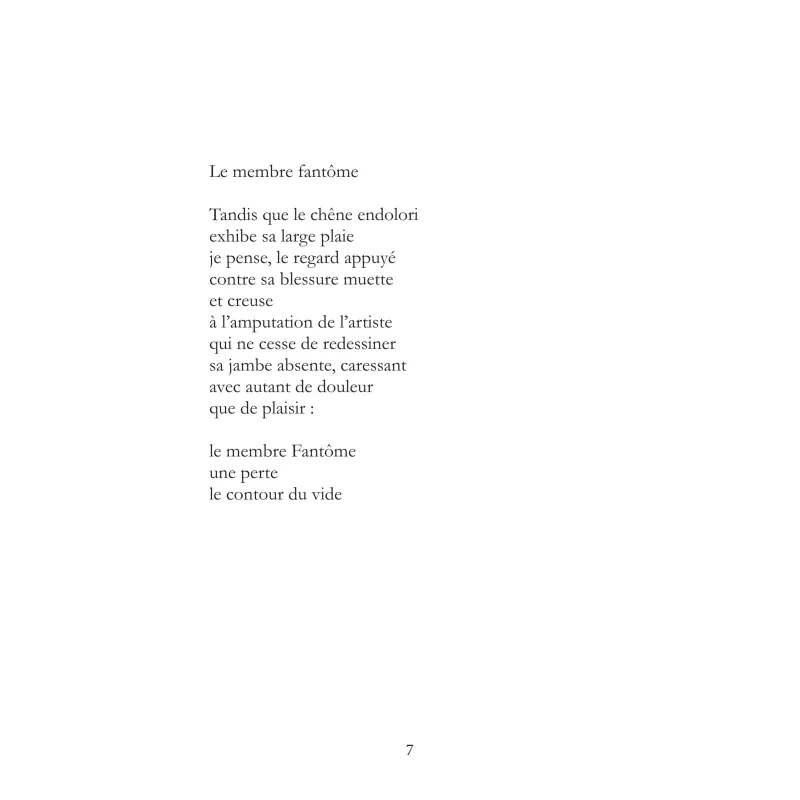 Le membre fantôme