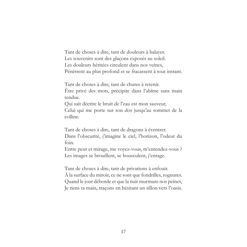 Nous ne marcherons plus dans vos pas
