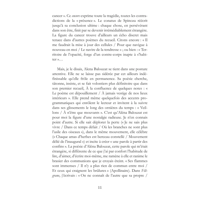 Ombres vacantes