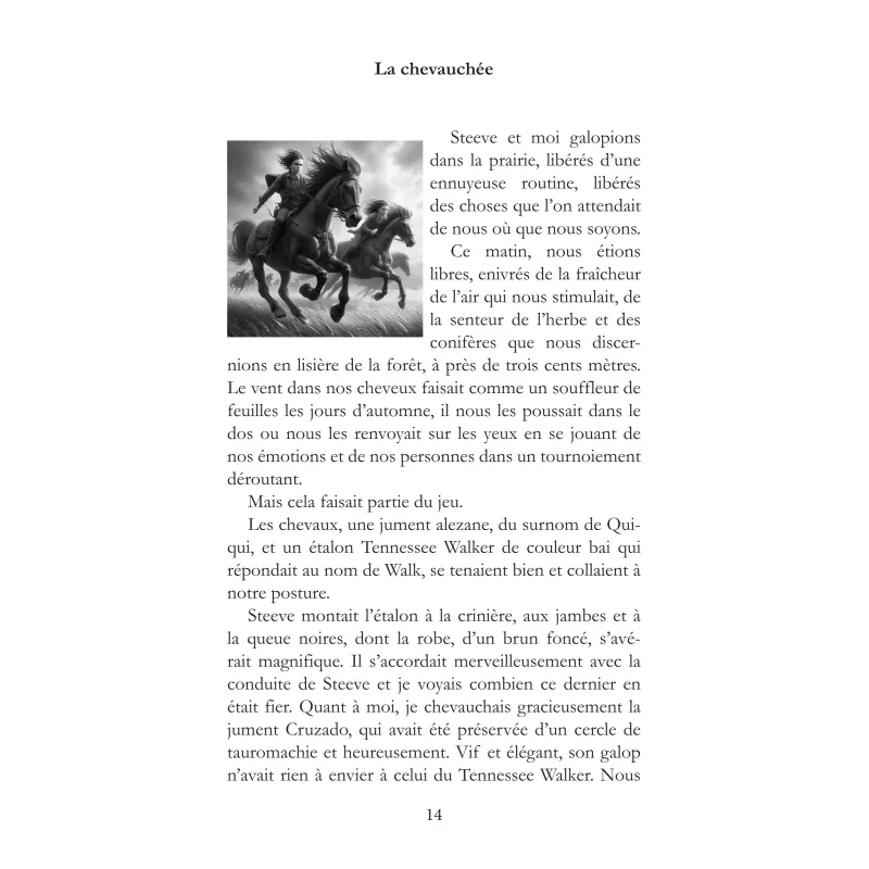 Les cahiers du Maître des Jeux