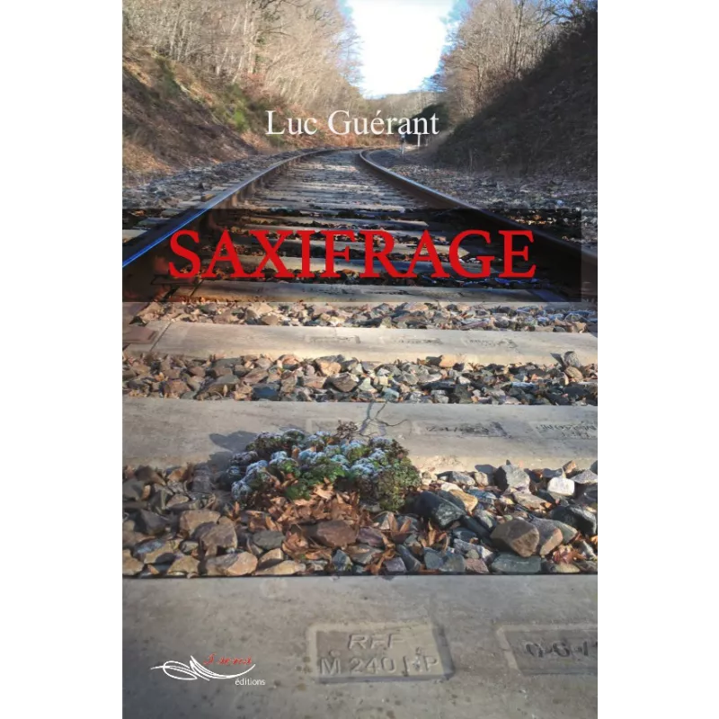 Saxifrage