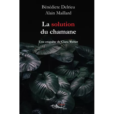 La solution du chamane Bénédicte Delrieu Alain Maillard