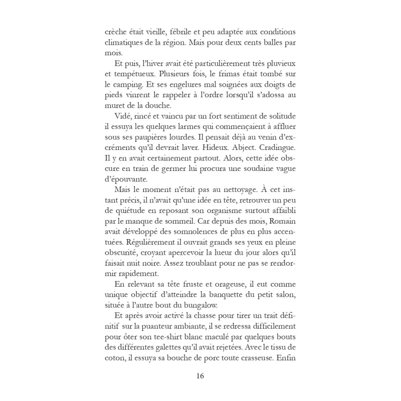 Un long détour Julien Banié